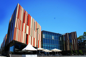 麦考瑞大学